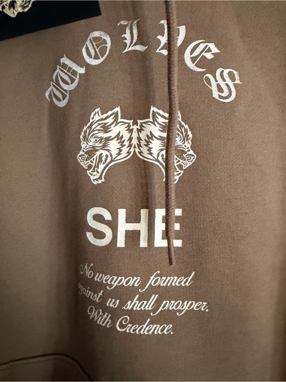 Darc Sport Brown Graphic Hoodie with White Wolf Print